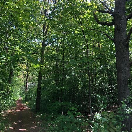 De Bosrand Grenzend Aan Het Bos Villa Castricum Luaran gambar