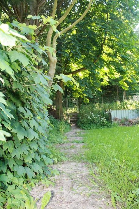 De Bosrand Grenzend Aan Het Bos Villa Castricum Luaran gambar