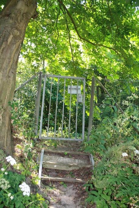 De Bosrand Grenzend Aan Het Bos Villa Castricum Luaran gambar