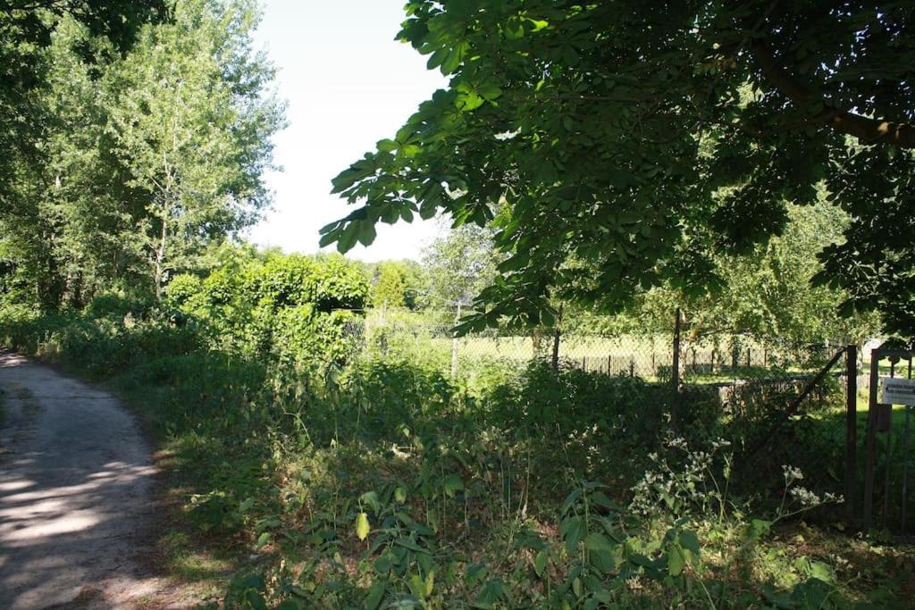 De Bosrand Grenzend Aan Het Bos Villa Castricum Luaran gambar