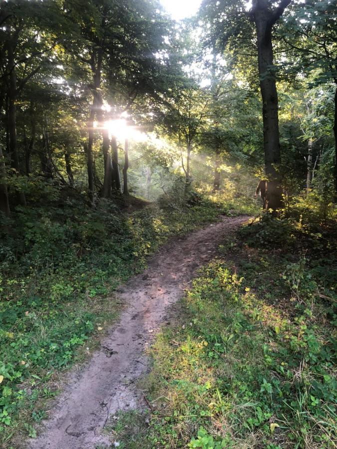 De Bosrand Grenzend Aan Het Bos Villa Castricum Luaran gambar